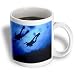 Kike Calvo Underwater Life - scuba diving in the great reef barrier in Queensland, Australia - Mugs