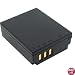 Lenmar DLP007 Lithium-ion Digital Camera/Camcorder Battery Equivelent to the Panasonic CGR-S007A Battery