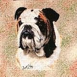 Bulldog Woven Lap Square (Throw Blanket)