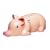 Kitchen Craft Pig Crumb Pet Novelty Tabletop Vacuum Cleaner
