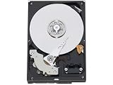 Western Digital 1 TB Caviar Green SATA Intellipower 32 MB Cache Bulk/OEM Desktop Hard Drive WD10EADS