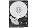 Electronics : 1TB 7200RPM 32MB BUFFER SERIAL ATA II/300, 3.5INCH, 8.9MS SEEK, CAVIAR SERIES GR