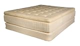 31RZn2plkNL. SL160  Welcome to Memory Foam Mattress Queen Review