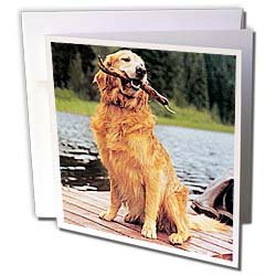 image link - - B000VG71AA