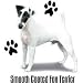 Smooth Coated Fox Terrier Adult Sweatshirt