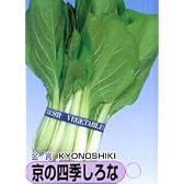 京の四季しろな[しろ菜]【タネ】2dl