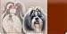 shih tzu - Personal Checkbook Covers: Shih Tzu Dog Checkbook Cover