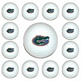 Florida Gators Golf Ball Pack (1 Dozen)