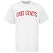 Search : Ohio State Buckeyes White Vertical Arch T-shirt