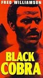 Black Cobra