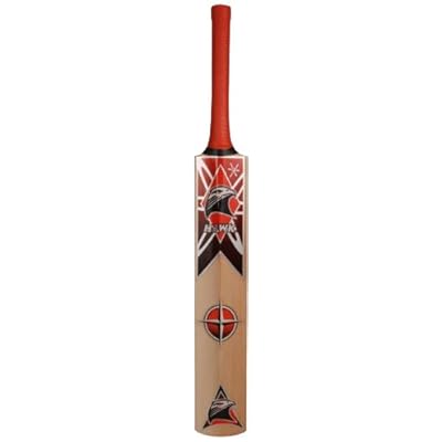 Hawk Runmaker Kashmir Willow Cricket  Bat (Short Handle, 1100-1125 g) 