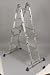 Articulating Ladder (950)
