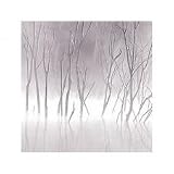 Soft Light II, Print, 500 x 500 mm, Artist: Adam Brock