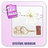 Revue Conitiv - Synchron  / Lexminder Anglais - Logiciel pour mémoriser du vocabulaire - Systeme nerveux
