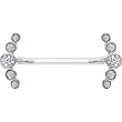 Invisible Bioplast Crystalline Round Five Gem Nipple Shield