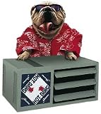 Direct Vent Garage Heater Hot Dawg - Modine Hot Dawg 45K Btu Lp Gas - Modine HD45AS01-21
