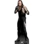 The Undertaker Cardboard Standup