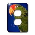 Birds - Green Cheeked Amazon Parrot - Light Switch Covers - 2 plug outlet cover