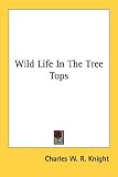 Wild Life In The Tree Tops