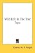 Wild Life In The Tree Tops