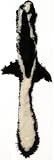 Skinneeez Mega, Skunk