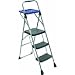 Werner 273-2 Project Ladder