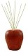 Health & Personal Care : Pearlessence Fruit Reed Diffuser, Apple