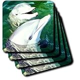 Dolphins - Bottlenose Dolphin - Coasters
