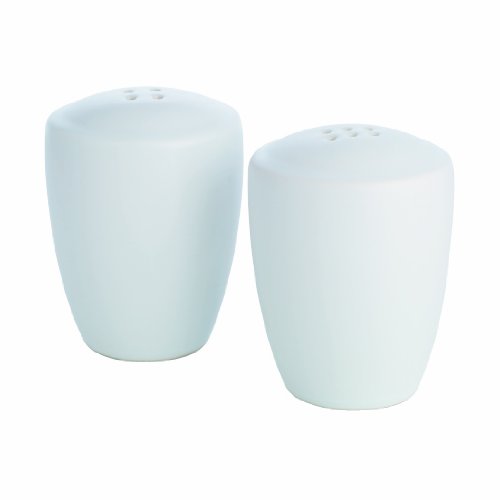 Noritake Colorwave Salt and Shaker White