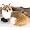 Plush Red Fox 13
