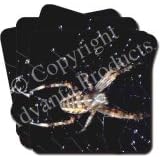 SPIDER on WEB Set of 4 Coasters