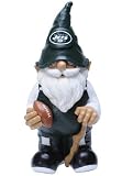 New York Jets NFL 11