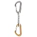 Black Diamond FireWire Quickdraw