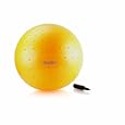 Jillian Michaels 55 cm Anti-Burst Stayball