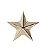 Forge 3D 5 Point Gold Star Lapel Pin (1 Pack)