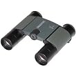 Swarovski 10x25 B Pocket Binocular (Green)