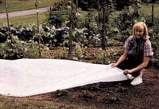 Reemay Garden Blanket - 67 Inches x 20 Feet