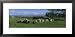 Rocks in a Field, Carrowmore, Sligo, Republic of Ireland Collections Framed Art Poste...