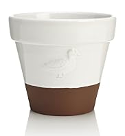 Duck Decorated Flower Pot