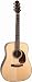 Musical Instruments : Takamine EF360SBG Dreadnought Acoustic-Electric Guitar
