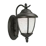 Outdoor Wall Sconces Sea Gull Lighting 84049