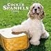 cocker spaniel - Cocker Spaniels 2009 Wall Calendar