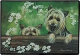 Yorkie Yorkshire Terrier Dogs Indoor / Outdoor Designer Doormat