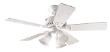 Hunter 42 Ceiling Fan Delaney, White, Model # 20770
