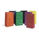 Pacon Rainbow Bags, 6" x 3 5/8" x 11", Pack Of 28