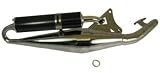 Jaguar Power Sports Hoca 50cc 2-stroke Performance Exhaust