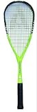 Ashaway Hornet 495 Racquet