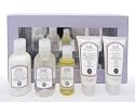BELLI Pregnancy Box Set