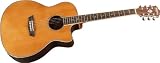 Washburn WD25 Series WG26SCE Acoustic Electric Guitar