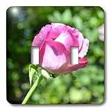 Patricia Sanders Flowers - Garden Rose Bud Flowers Photography - Light Switch Covers - double toggle switch